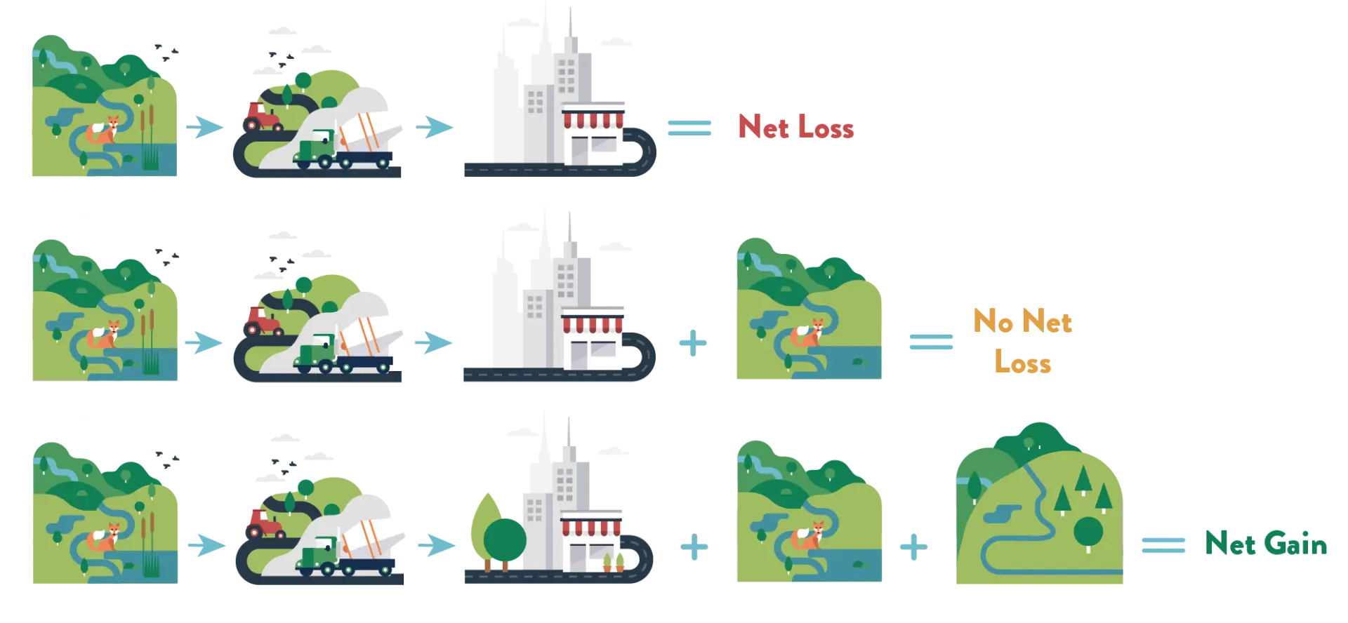 biodiversity-net-gain-infographic
