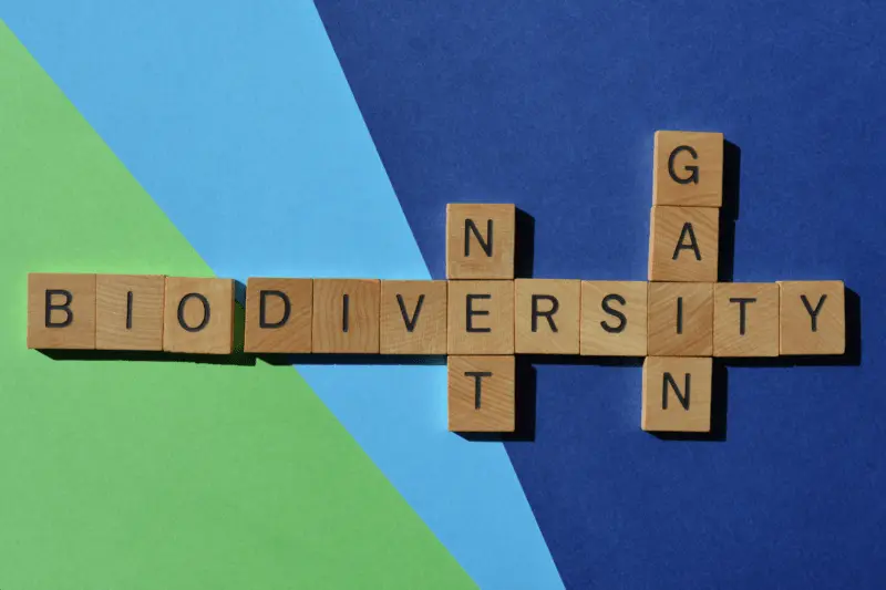 biodiversity-net-gain-scrabble