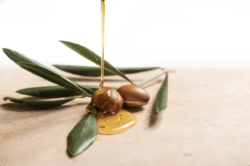 Biodiversity-Potential-of-Wild-Harvested-Plant-Ingredients