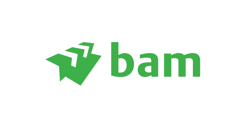 Bam logo